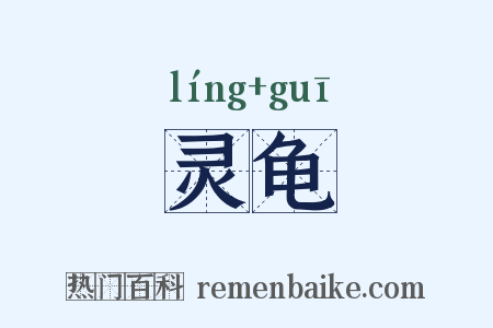 灵龟是什么意思的图片